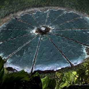 DawnBrown_HungerGames_Arena.jpg DawnBrown_HungerGames_Arena.jpg