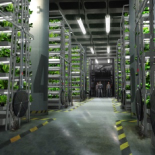 DawnBrown_HungerGames_Hydroponic.jpg DawnBrown_HungerGames_Hydroponic.jpg