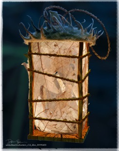 DawnBrown_MG_setdec_BeechnutLantern_v1d_20190405.jpg DawnBrown_MG_setdec_BeechnutLantern_v1d_20190405.jpg